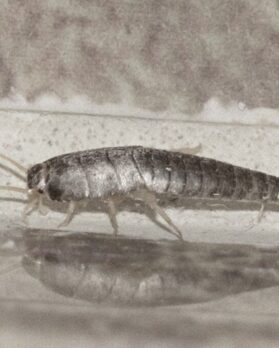 GettyImages-875977582_header-102 (1)