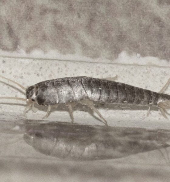 GettyImages-875977582_header-102 (1)