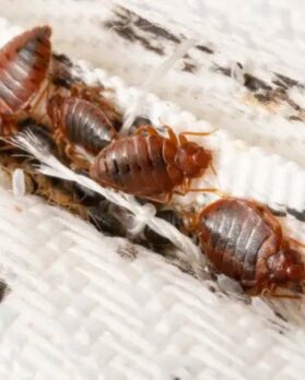 iStock-1430769969-1 (1)