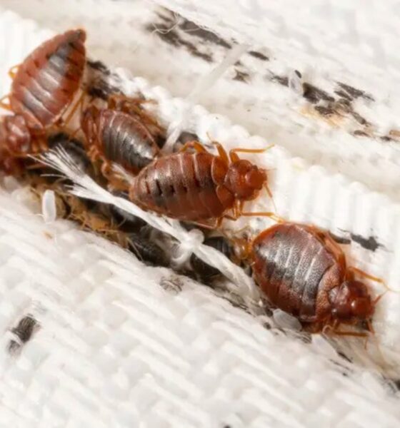 iStock-1430769969-1 (1)