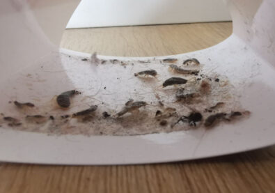 rewrbrahpxfj67ptes7mvnk431wk