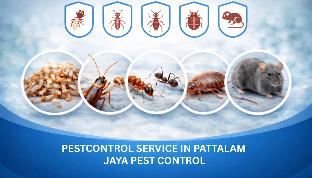 Pest Control Service in Pattalam Chennai – Cockroach, Termite, Ants, Bed Bugs and Rodent Control by Jaya Pest Control